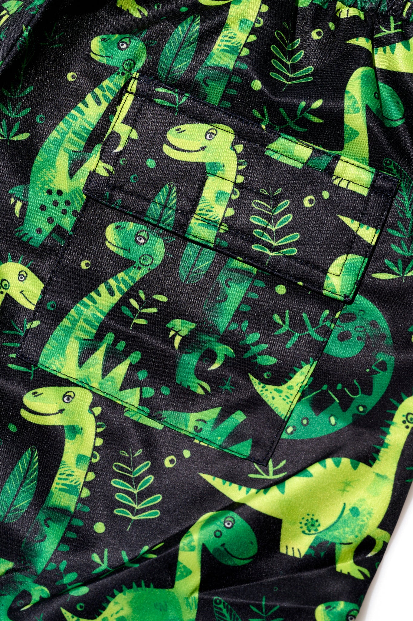 Dino Swim Trunks | Dino Trunks | Shadies